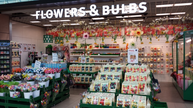 The airport in Amsterdam has many of these little shops where you can buy tulip bulbs and flowers.