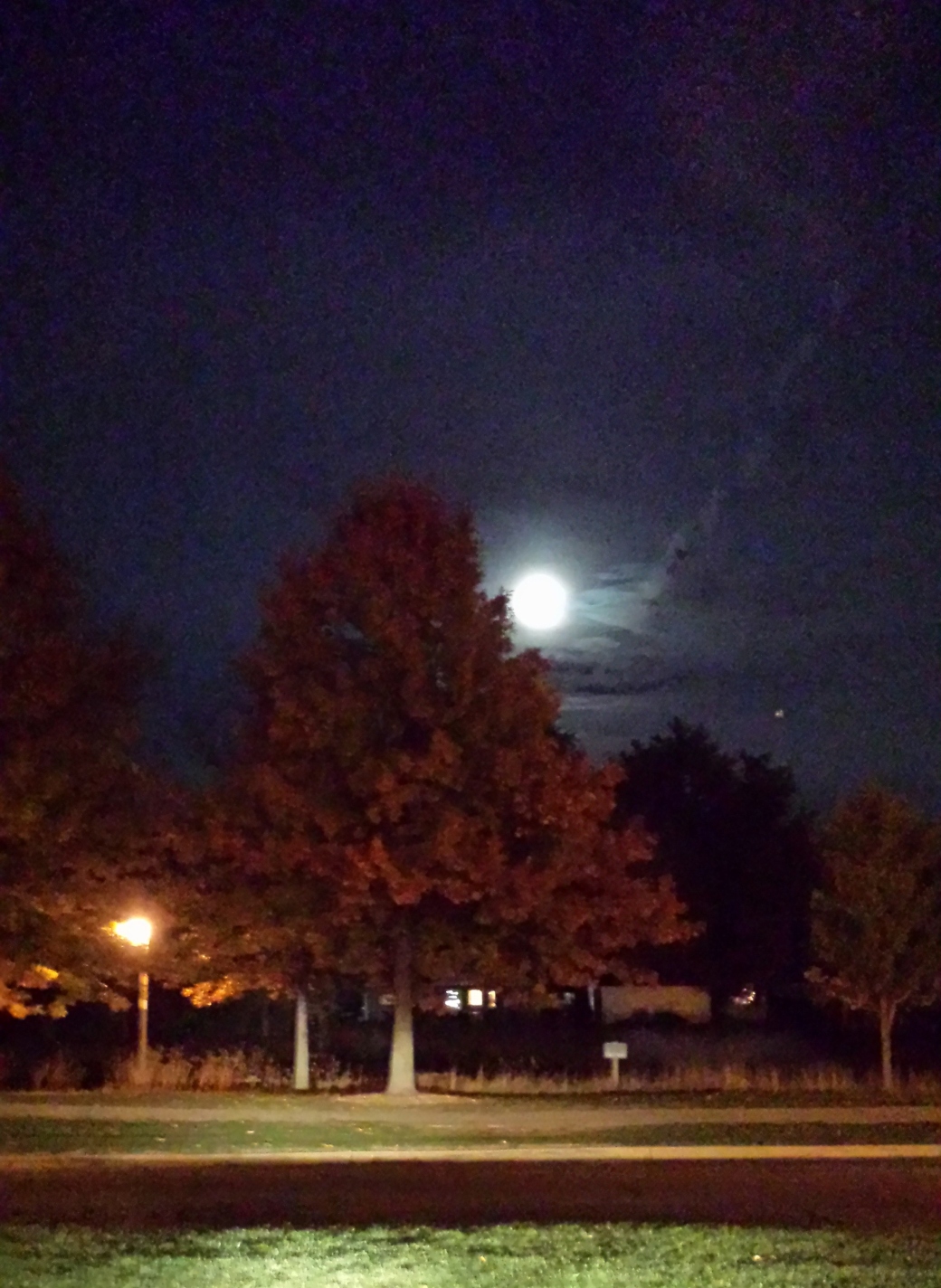Full moon appears above a red maple tree - Prairie Lakes parking lot.